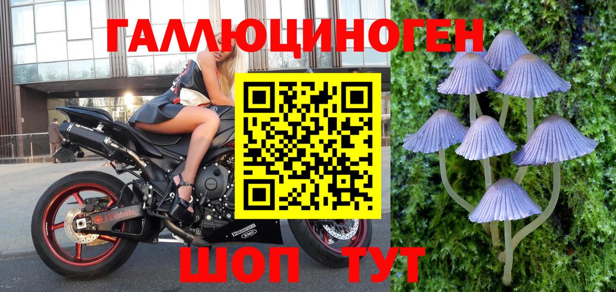 Галлюциногенные грибы Cubensis Кольчугино